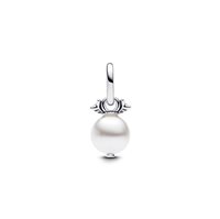 Charm Pandora in Argento 793687C01 - 793687C01